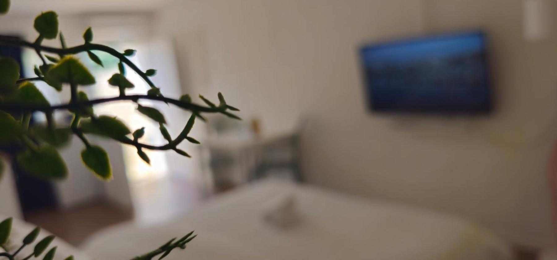 Ferienwohnung Kadenca Umag Zimmer foto